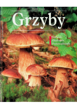 Grzyby Gatunki Zbieranie Przyrządzanie