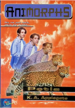 Pętla