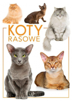 Koty rasowe