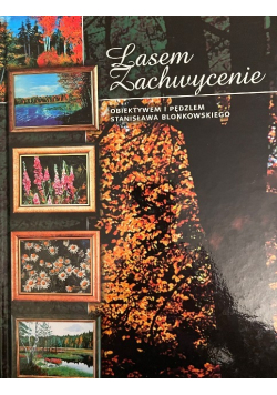 Lasem Zachwycenie obiektywem i pędzlem