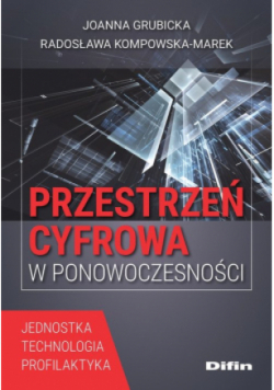 Przestrzeń cyfrowa w ponowoczesności