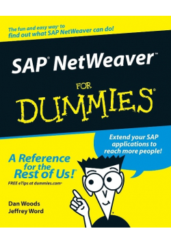 Sap NetWeaver for dummies