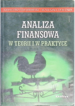 Analiza finansowa w teorii i w praktyce