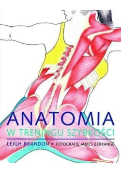 Anatomia w treningu szybkości