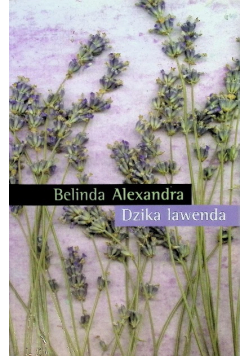 Dzika lawenda