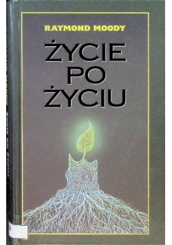 Życie po życiu