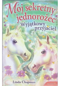 Mój sekretny jednorożec Wyjątkowy przyjaciel