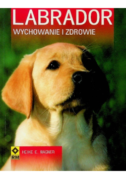 Labrador