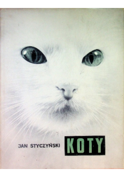 Koty