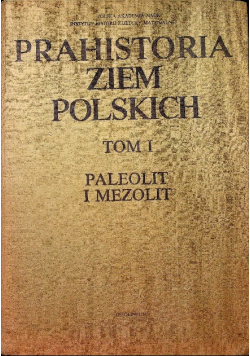 Prahistoria ziem Polskich Tom I Paleolit i Mezolit