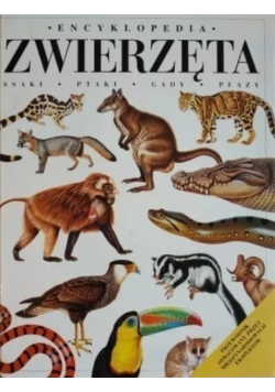 Encyklopedia zwierzęta Ssaki ptaki gady płazy