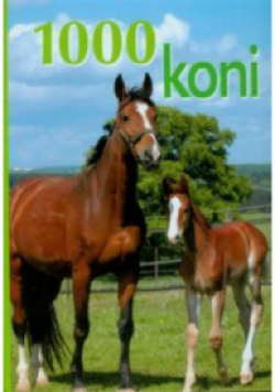 1000 koni