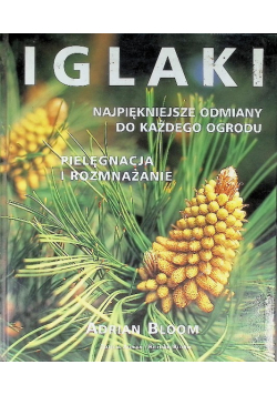 Iglaki Najpiękniejsze odmiany do każdego ogrodu Pielęgnacja i rozmnażanie