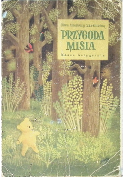 Przygoda misia