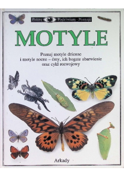 Poznajemy motyle