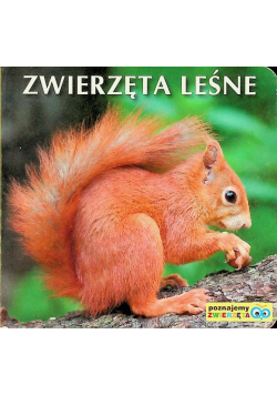 Zwierzęta leśne