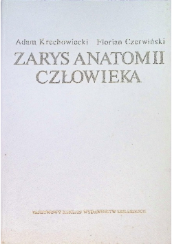 Zarys anatomii człowieka