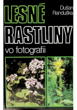 Lesne rastliny vo fotografii