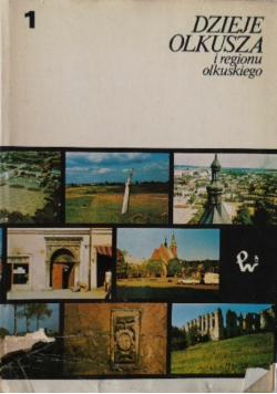 Dzieje Olkusza i regionu okulskiego Tom I