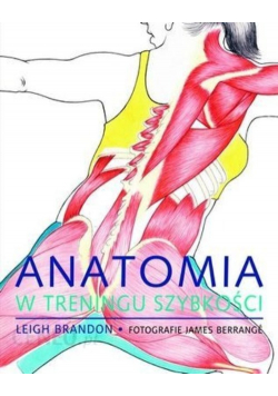 Anatomia w treningu szybkości
