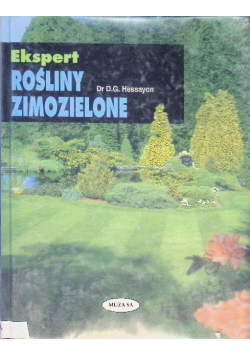 Rośliny zimozielone