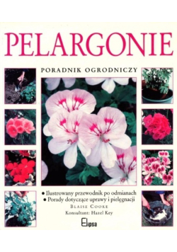 Pelargonie poradnik ogrodniczy
