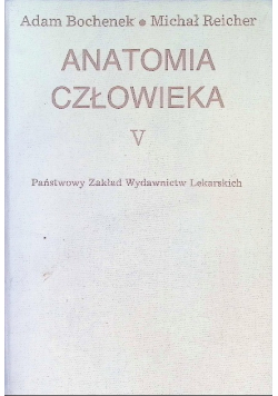 Anatomia człowieka Tom V