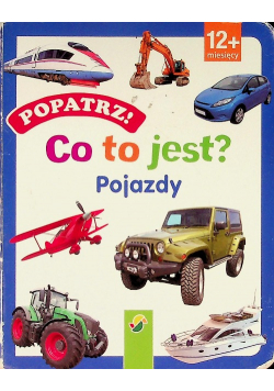Co to jest Pojazdy