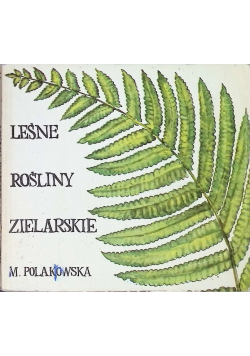 Leśne rośliny zielarskie