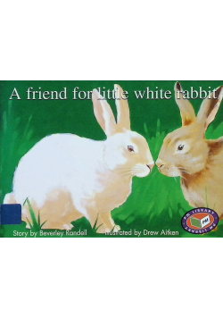 A friend for little white rabbit