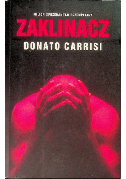 Zaklinacz