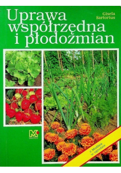 Uprawa współrzędna i płodozmian