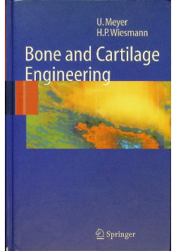 Bone and Cartilage Engineering