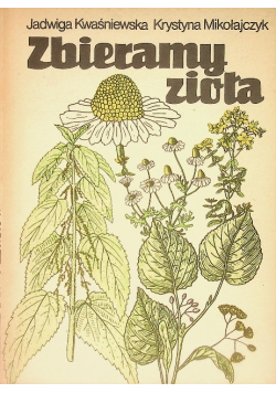 Zbieramy zioła