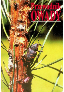 Przewodnik Owady