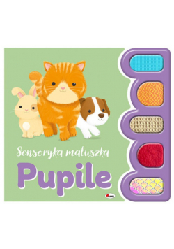 Pupile. Sensoryka maluszka