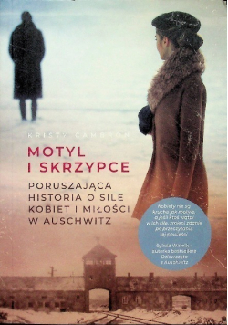 Motyl i skrzypce