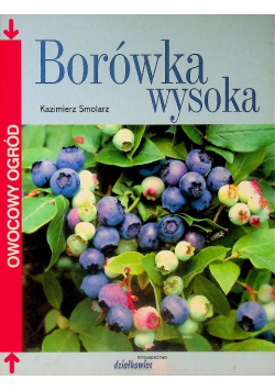 Borówka wysoka