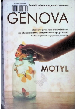 Motyl
