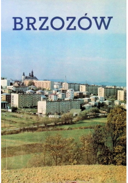 Brzozów Zarys Monograficzny