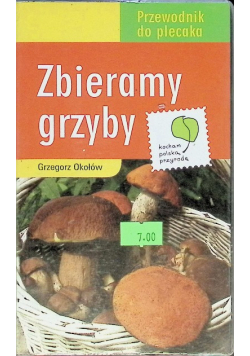 Zbieramy grzyby