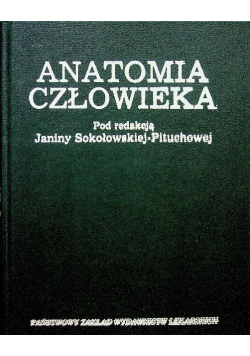 Anatomia człowieka