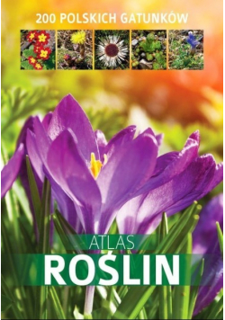Atlas roślin 200 polskich gatunków