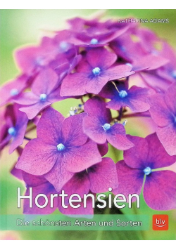 Hortensien