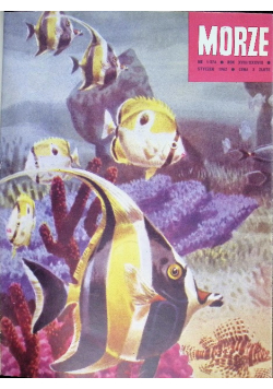 Morze czasopismo Nr 1 do 12 / 62