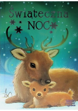 Świąteczna noc