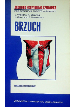 Anatomia prawidłowa człowieka brzuch