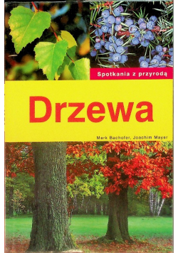 Drzewa