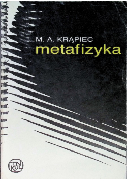 Metafizyka