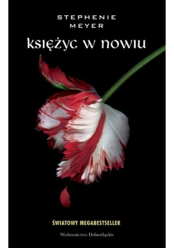 Księżyc w nowiu